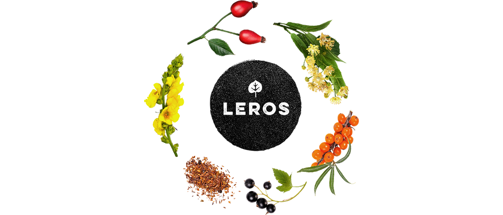 Logo Leros