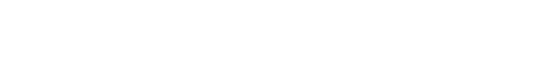 logo czech news center