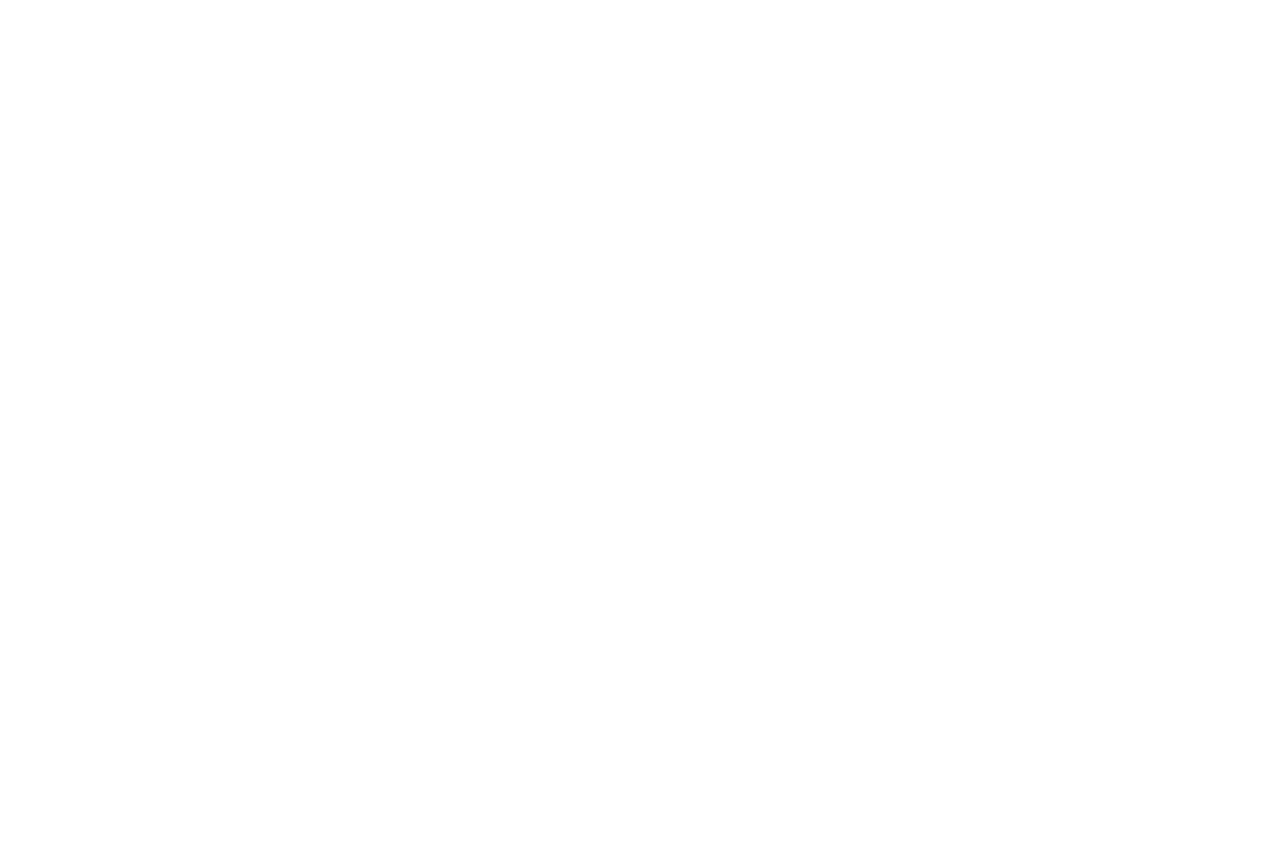 logo globus