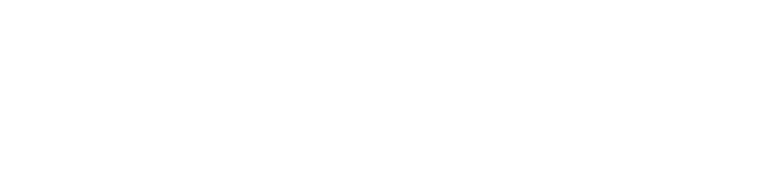 logo vivantis